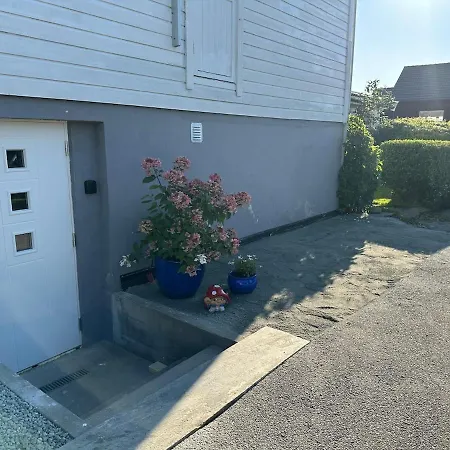 Bright And Cozy On Tau 요플란드