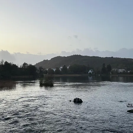 Bright And Cozy On Tau