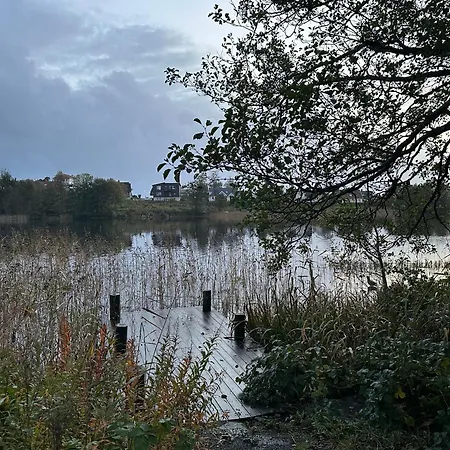 Bright And Cozy On Tau 요플란드